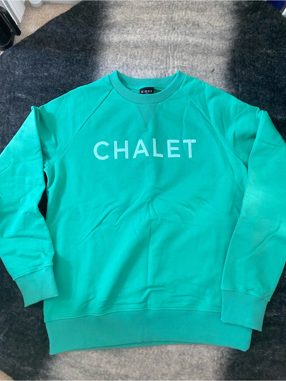 Birdz Teal Green Chalet Crewneck Sweatshirt - Men's S